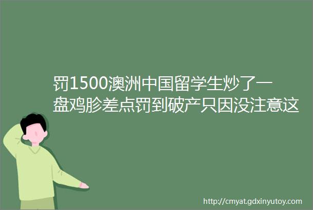 罚1500澳洲中国留学生炒了一盘鸡胗差点罚到破产只因没注意这点